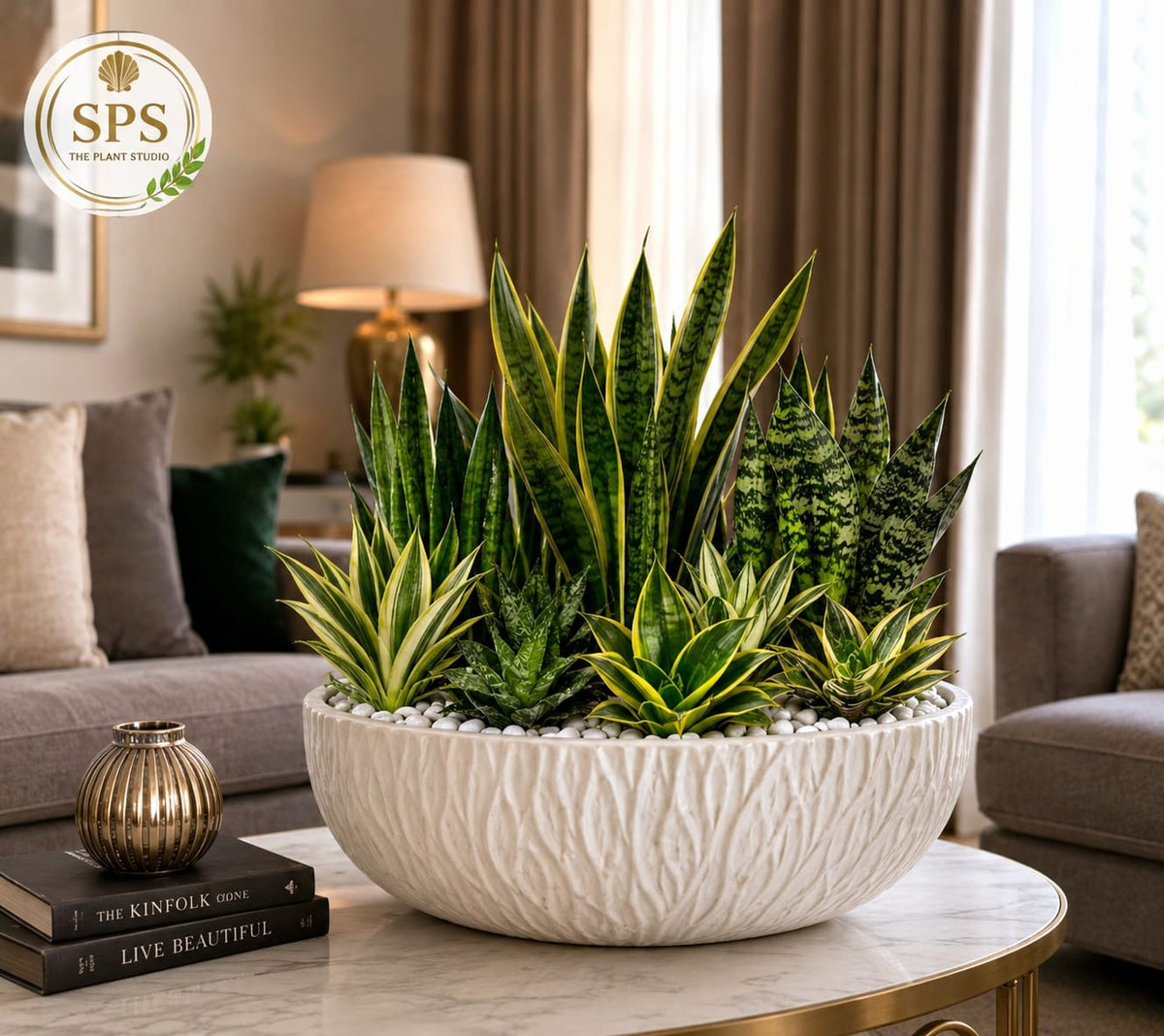 Customized Plant Arrangement - from Rs.3000 and up